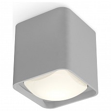 Накладной светильник ambrella light xs xs7842011